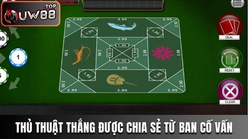 Belangkai Và Luật Chơi Người Mới Nhất Định Phải Nắm 4 Thủ thuật thắng được chia sẻ từ ban cố vấn